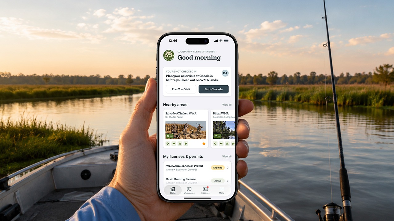 Louisiana Wildlife & Fisheries check-in app on a phone, held on a boat in a Louisiana marsh at sunrise